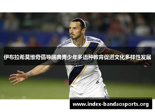 伊布拉希莫维奇倡导瑞典青少年多语种教育促进文化多样性发展 伊布拉希莫维奇倡导瑞典青少年多语种教育促进文化多样性发展