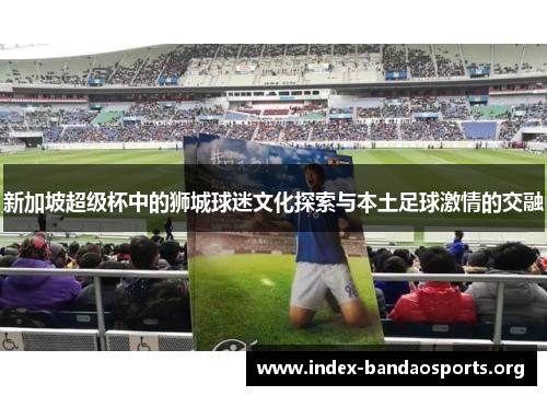 新加坡超级杯中的狮城球迷文化探索与本土足球激情的交融 新加坡超级杯中的狮城球迷文化探索与本土足球激情的交融