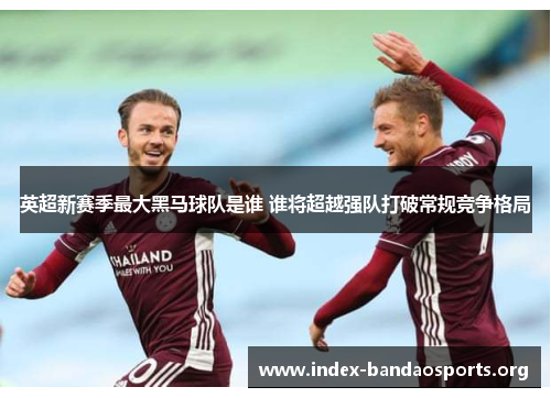 英超新赛季最大黑马球队是谁 谁将超越强队打破常规竞争格局 英超新赛季最大黑马球队是谁 谁将超越强队打破常规竞争格局