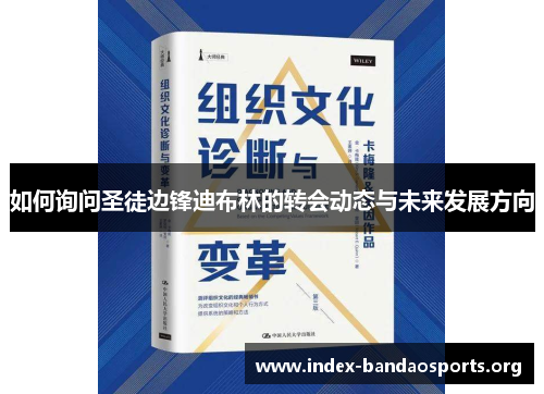 如何询问圣徒边锋迪布林的转会动态与未来发展方向 如何询问圣徒边锋迪布林的转会动态与未来发展方向