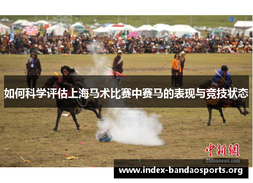 如何科学评估上海马术比赛中赛马的表现与竞技状态 如何科学评估上海马术比赛中赛马的表现与竞技状态