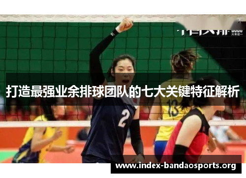打造最强业余排球团队的七大关键特征解析 打造最强业余排球团队的七大关键特征解析