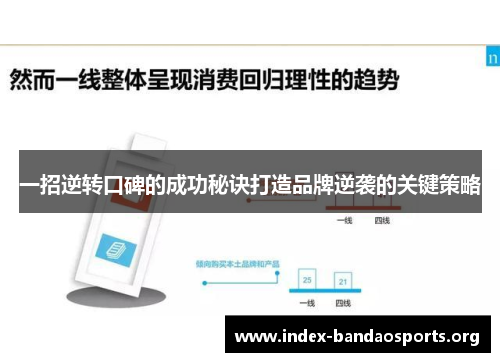 一招逆转口碑的成功秘诀打造品牌逆袭的关键策略 一招逆转口碑的成功秘诀打造品牌逆袭的关键策略