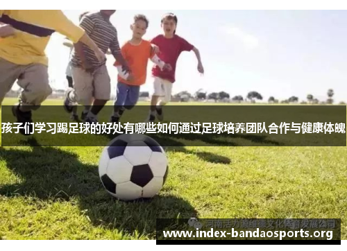 孩子们学习踢足球的好处有哪些如何通过足球培养团队合作与健康体魄 孩子们学习踢足球的好处有哪些如何通过足球培养团队合作与健康体魄