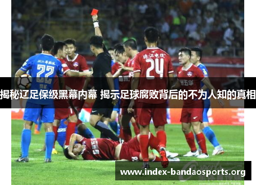 揭秘辽足保级黑幕内幕 揭示足球腐败背后的不为人知的真相 揭秘辽足保级黑幕内幕 揭示足球腐败背后的不为人知的真相