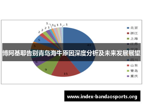 博阿基耶告别青岛海牛原因深度分析及未来发展展望 博阿基耶告别青岛海牛原因深度分析及未来发展展望
