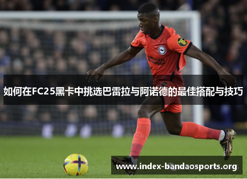 如何在FC25黑卡中挑选巴雷拉与阿诺德的最佳搭配与技巧 如何在FC25黑卡中挑选巴雷拉与阿诺德的最佳搭配与技巧