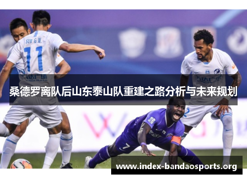 桑德罗离队后山东泰山队重建之路分析与未来规划 桑德罗离队后山东泰山队重建之路分析与未来规划