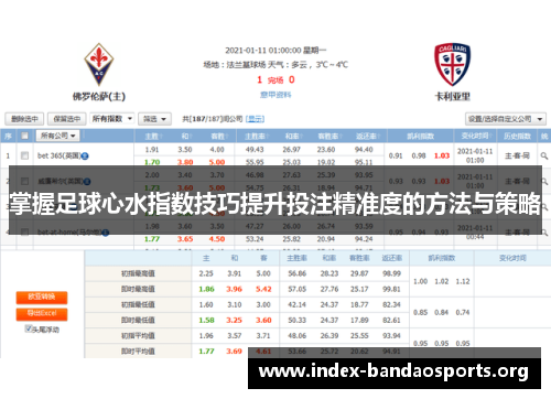 掌握足球心水指数技巧提升投注精准度的方法与策略 掌握足球心水指数技巧提升投注精准度的方法与策略