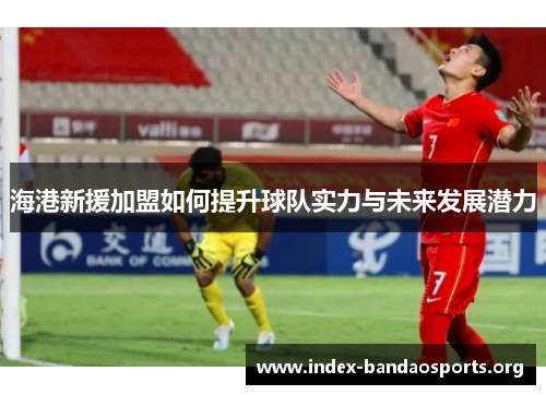 海港新援加盟如何提升球队实力与未来发展潜力 海港新援加盟如何提升球队实力与未来发展潜力