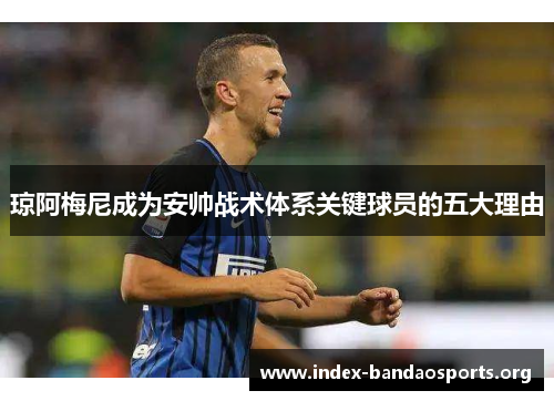 琼阿梅尼成为安帅战术体系关键球员的五大理由 琼阿梅尼成为安帅战术体系关键球员的五大理由