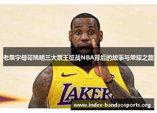 老詹字母哥姚明三大票王征战NBA背后的故事与荣耀之路 老詹字母哥姚明三大票王征战NBA背后的故事与荣耀之路