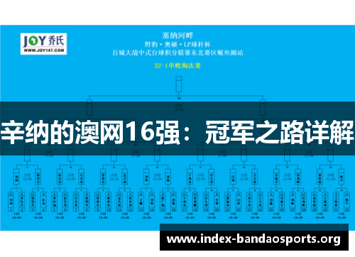 辛纳的澳网16强：冠军之路详解