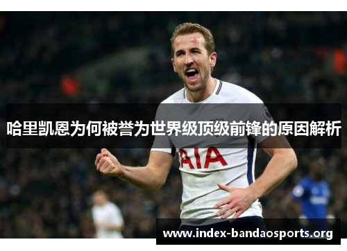 哈里凯恩为何被誉为世界级顶级前锋的原因解析 哈里凯恩为何被誉为世界级顶级前锋的原因解析