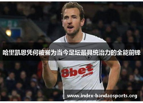 哈里凯恩凭何被誉为当今足坛最具统治力的全能前锋 哈里凯恩凭何被誉为当今足坛最具统治力的全能前锋